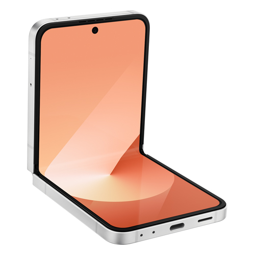 Galaxy Z Flip6 (dual sim) 512 Go rose reconditionné Reconditionné -  reconditionné disponible sur Recommerce