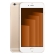 iPhone 6 16 Go or