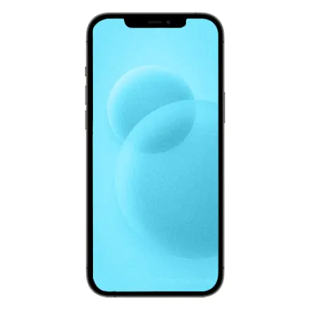 iPhone 12 Pro Max 512GB Silber gebraucht