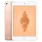iPad Mini 5 (2019) Wi-Fi + 4G 64 Go or reconditionné - 1