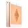 iPad Mini 5 (2019) Wi-Fi + 4G 64 Go or reconditionné - 3