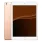 iPad 9.7 (2018) Wi-Fi + 4G 32GB Gold refurbished - 1
