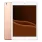 IPad 9.7 (2018) Wi-Fi 32 Go or reconditionné - 1