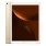 iPad Pro 12.9 (2017) Wi-Fi + 4G 64 Go or reconditionné - 1