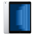 iPad 10.2 (2021) Wi-Fi + 4G 256 Go argent reconditionné