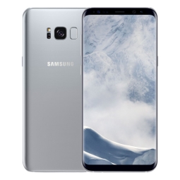 Galaxy S8+ 64 Go argent