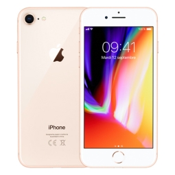 iPhone 8 256 Go or