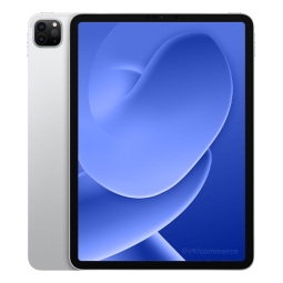 iPad Pro 11 (2021) Wi-Fi 128GB Silber refurbished
