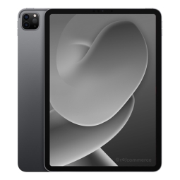 iPad Pro 11 (2021) Wi-Fi + 4G 128 Go gris sidéral reconditionné