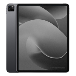 iPad Pro 12.9 (2021) Wi-Fi 256 Go gris sidéral reconditionné