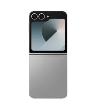 Galaxy Z Flip6 (dual sim) 256 Go gris reconditionné - 4
