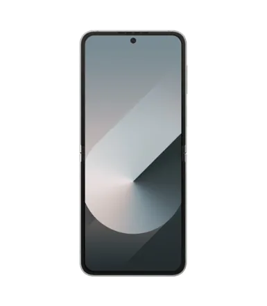 Galaxy Z Flip6 (dual sim) 256 Go gris reconditionné - 3