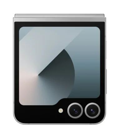 Galaxy Z Flip6 (dual sim) 256 Go gris reconditionné - 5