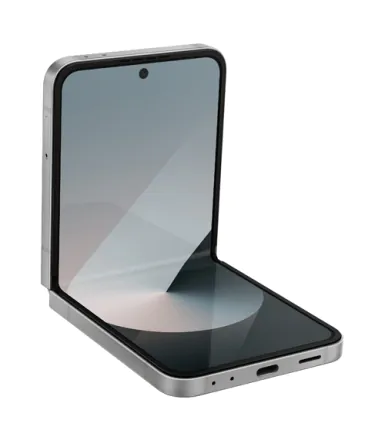 Galaxy Z Flip6 (dual sim) 256 Go gris reconditionné - 1
