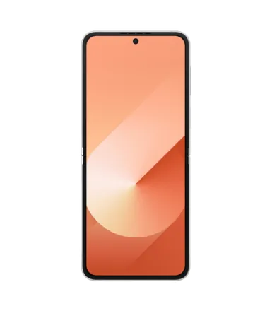 Galaxy Z Flip6 (dual sim) 256 Go rose reconditionné - 3