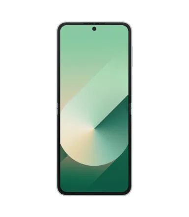 Galaxy Z Flip6 (dual sim) 512GB Grün refurbished - 3