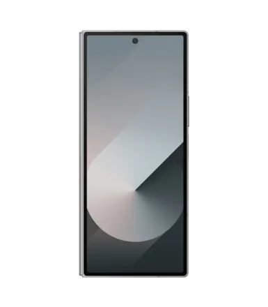Galaxy Z Fold6 (dual sim) 512 Go gris reconditionné - 2