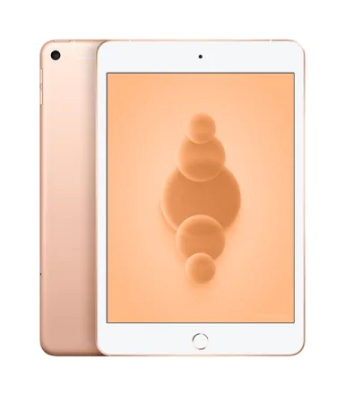iPad Mini 5 (2019) Wi-Fi + 4G 64 Go or reconditionné - 1
