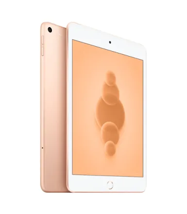 iPad Mini 5 (2019) Wi-Fi + 4G 64 Go or reconditionné - 3
