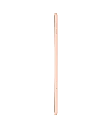 iPad Mini 5 (2019) Wi-Fi + 4G 64 Go or reconditionné - 4