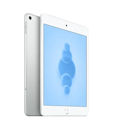 iPad Mini 5 (2019) Wi-Fi + 4G 256 Go argent reconditionné - 4