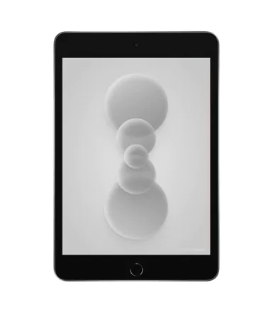 iPad Mini 5 (2019) Wi-Fi 256GB Spacegrau refurbished - 2