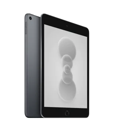 iPad Mini 5 (2019) Wi-Fi 256GB Spacegrau refurbished - 3