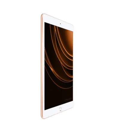 iPad 10.2 (2019) Wi-Fi 32 Go or reconditionné - 3