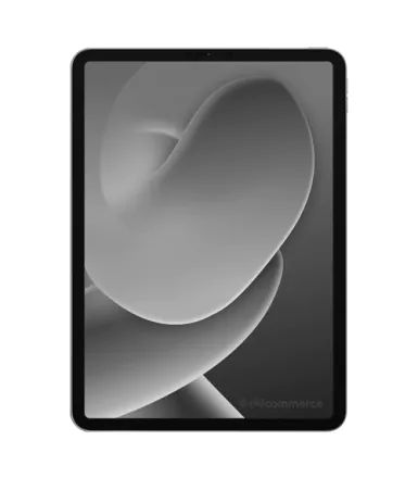 iPad Pro 11 (2021) Wi-Fi 128 Go gris sidéral reconditionné - 2