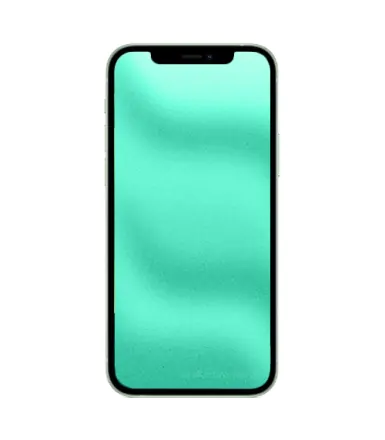 iPhone 12 Mini 128 Go vert reconditionné - 2