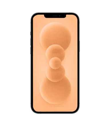 iPhone 12 Pro 256 Go or reconditionné - 2
