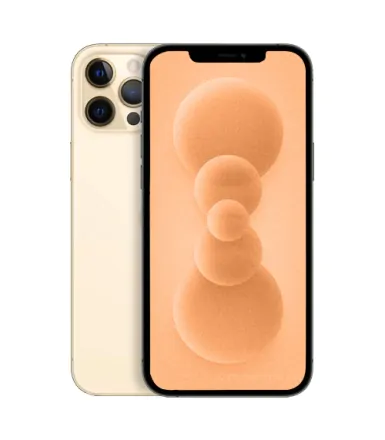 iPhone 12 Pro 256 Go or reconditionné - 1