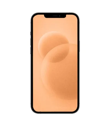 iPhone 12 Pro Max 512 Go or reconditionné - 2