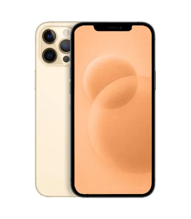 iPhone 12 Pro Max 512 Go or reconditionné - 1