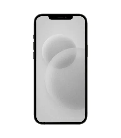 iPhone 12 Pro Max 128 Go graphite reconditionné - 2