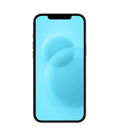 iPhone 12 Pro Max 256 Go argent reconditionné - 2