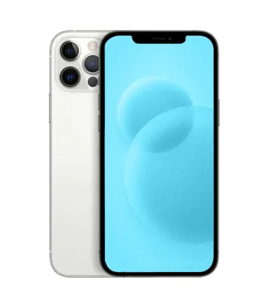 iPhone 12 Pro Max 256 Go argent reconditionné - 1