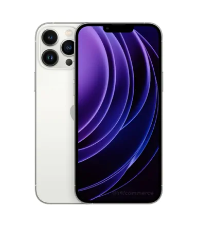 iPhone 13 Pro Max 1 To argent reconditionné - 1