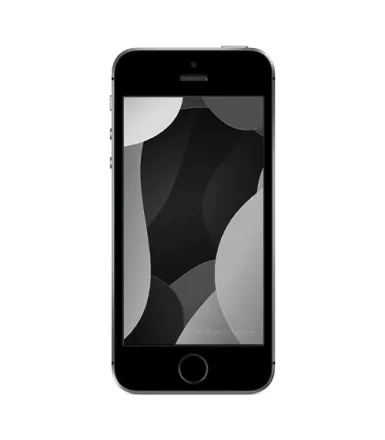 iPhone SE 64 Go gris sidéral reconditionné - 2