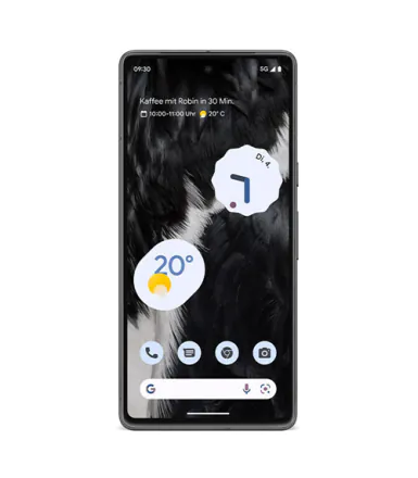 Google Pixel 7 128GB Schwarz refurbished
