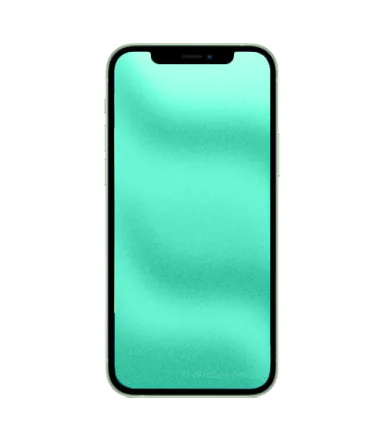 iPhone 12 Mini 256GB Grün refurbished