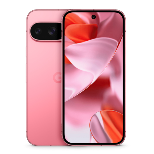 Google Pixel 9 128 Go rose reconditionné Reconditionné -  reconditionné disponible sur Recommerce
