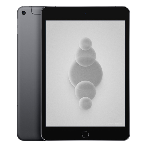 iPad Mini 5 (2019) Wi-Fi + 4G 256 Go gris sidéral reconditionné Reconditionné - Apple reconditionné disponible sur Recommerce