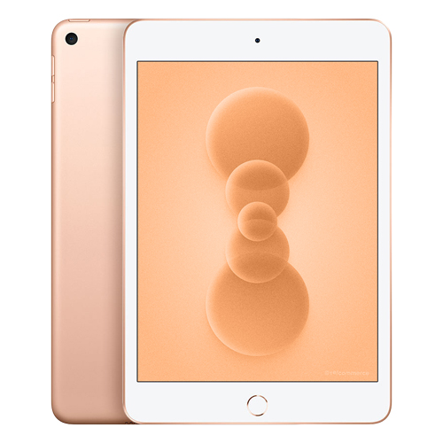 Apple iPad Mini 64Go WiFi (2019)