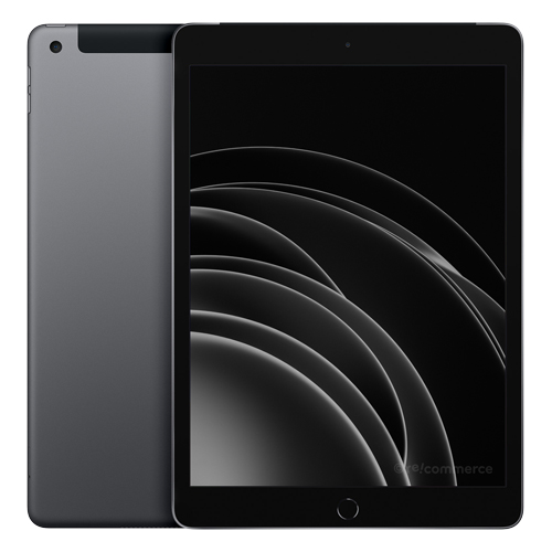 Apple iPad 10.2 (2019) Wi-Fi + 4G 32 Go Gris Sidéral Reconditionné